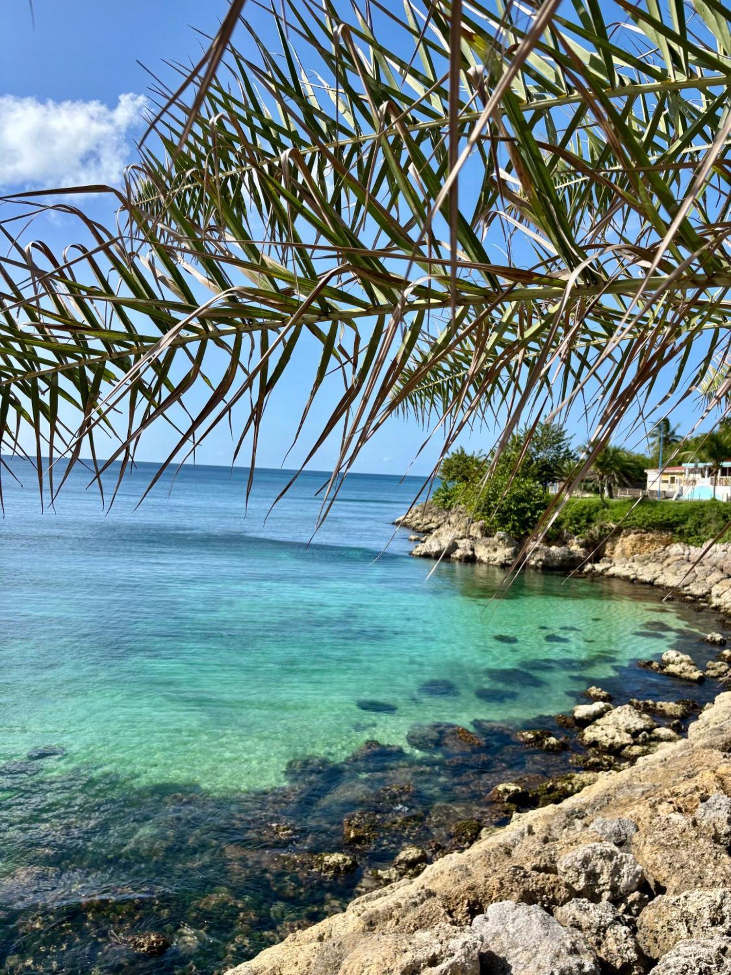 Gîtes à Anse-Bertrand Extérieur photo